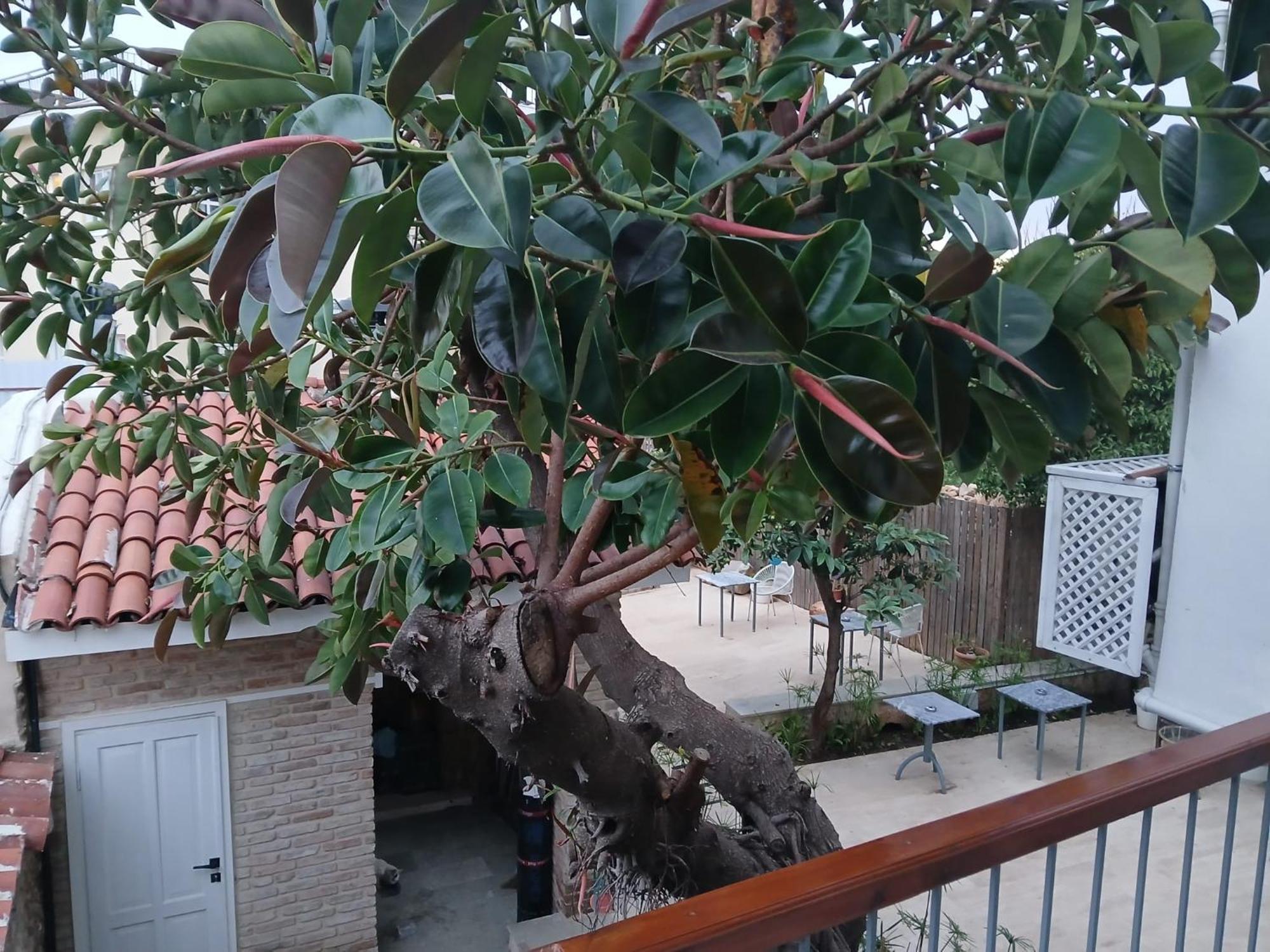 House Of Good Things Hotel Antalya Eksteriør billede